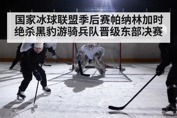 国家冰球联盟季后赛帕纳林加时绝杀黑豹游骑兵队晋级东部决赛