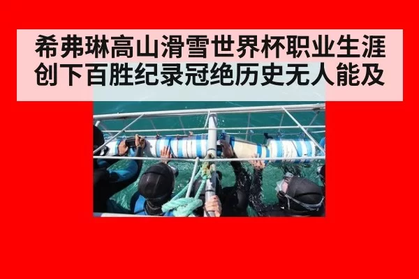 希弗琳高山滑雪世界杯职业生涯创下百胜纪录冠绝历史无人能及